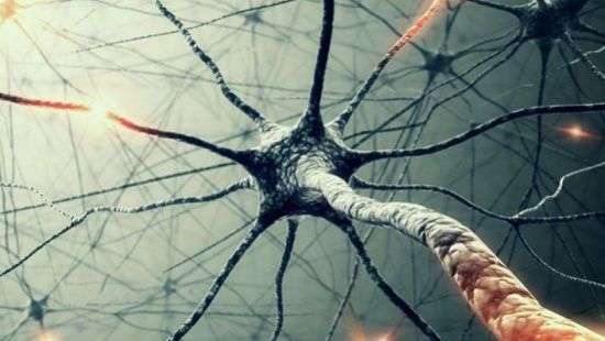 Медики нашли средство борьбы с рассеянным склерозом