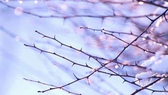 Погода: февраль начнется с потепления