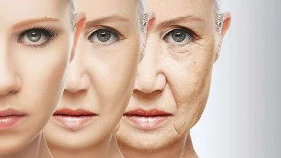 Ученые нашли средство против старения