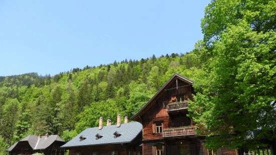 Ротшильды продали охотничьи угодья в Австрии