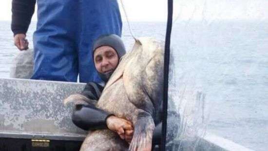 Под Черкассами словили гигантского сома весом 140 кг (ФОТО)