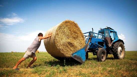 Украинские фермеры получили в 20 раз меньше дотаций, чем их прямые конкуренты на рынке - эксперт