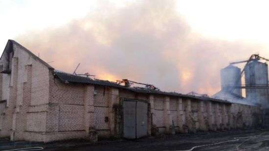 В Николаевской области загорелся маслозавод (ФОТО)