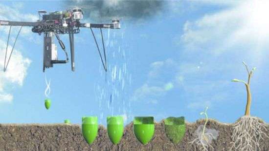 Дроны помогут в озеленении планеты