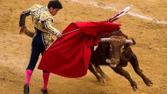 ООН попросила Мадрид запретить детям посещать корриду