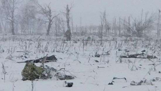 Момент крушения Ан-148 в Подмосковье попал на ВИДЕО