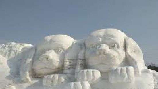 В Китае появилась гигантская скульптура собаки со щенками, вылепленная из снега (ВИДЕО)