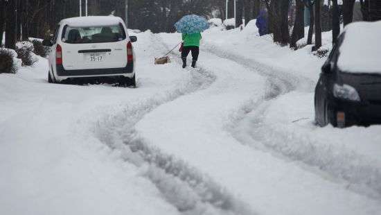 Аномальные снегопады в Японии унесли жизни 7 человек (ВИДЕО)