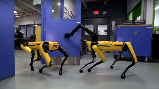 Робособака обзавелась рукой