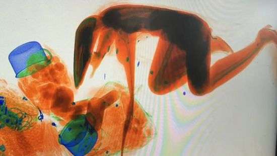 На вокзале в Китае женщина залезла в рентген-сканер вслед за своим багажом, боясь его потерять (ВИДЕО)