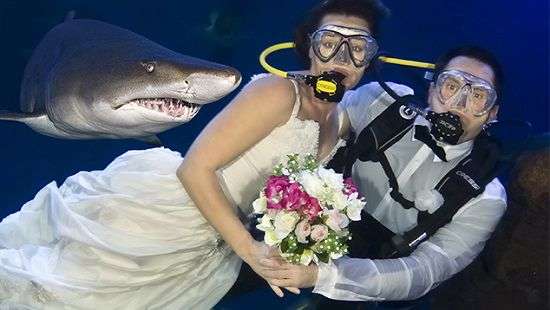 Свадебный беспредел или самые безумные места для свадеб (ФОТО)