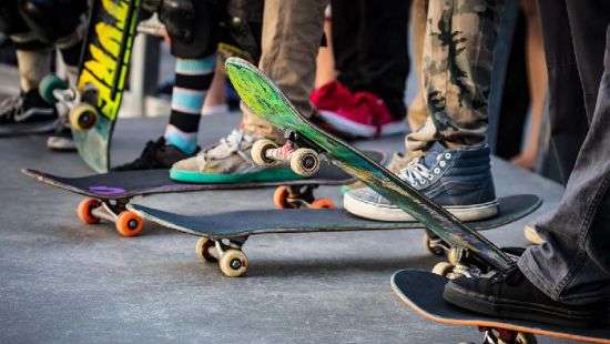 В Лондоне собака стала оператором (ВИДЕО)