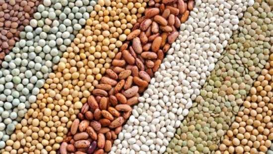 Украина рекордно заработала на поставках бобовых на внешние рынки