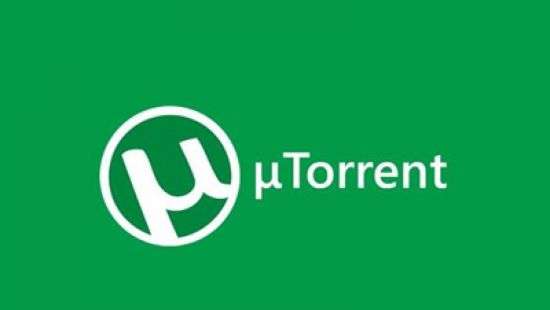 В торрентах обнаружили уязвимость