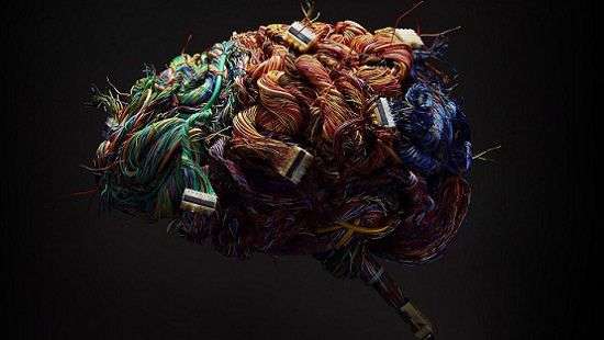 Ученые нашли способ омолодить мозг