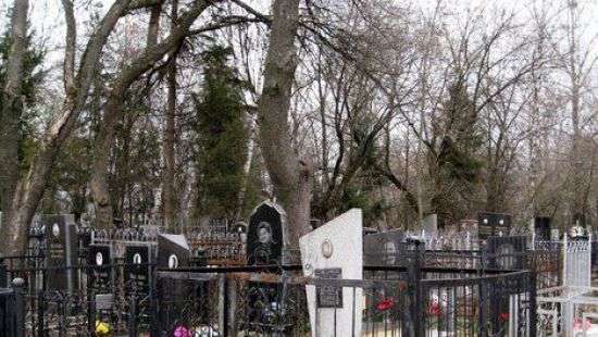 В Швеции хотят создавать «электронные копии» умерших людей