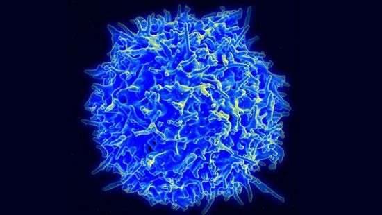 Онкологи нашли способ лечить неизлечимый рак