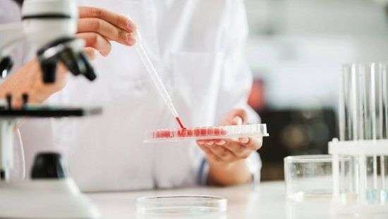 Найден способ восстанавливать кровеносные сосуды и сломанные кости