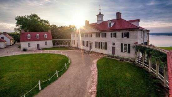 В США жертвой бури стало дерево, посаженное Вашингтоном