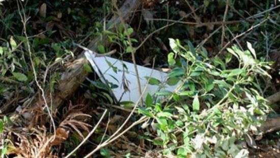 Японцы испугались упавшего с неба металла