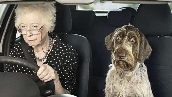 Обнародован список болезней, запрещающих украинцам управлять автомобилем