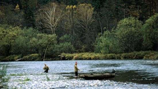 В России из реки Амур выловили 26 пар человеческих кистей - ФОТО