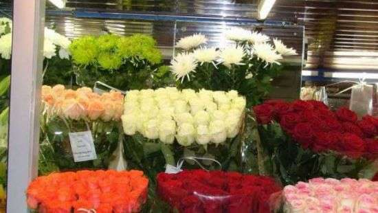 Стало известно, сколько цветов импортирует Украина и откуда их везут (ИНФОГРАФИКА)