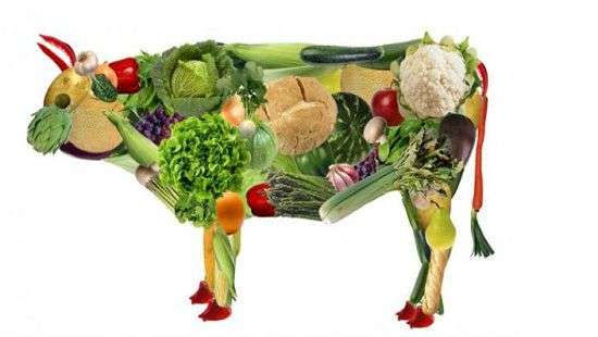 Чем опасен для здоровья отказ от мяса