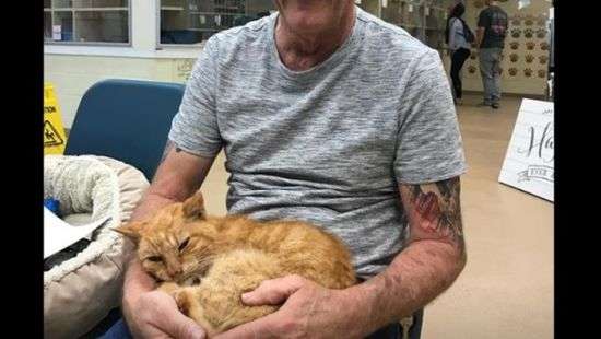 Кот вернулся к хозяину спустя 14 лет разлуки