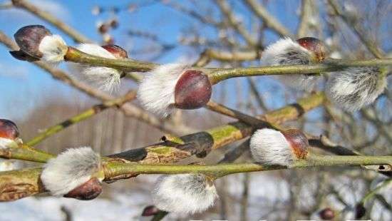 Погода в четверг: солнце без тепла