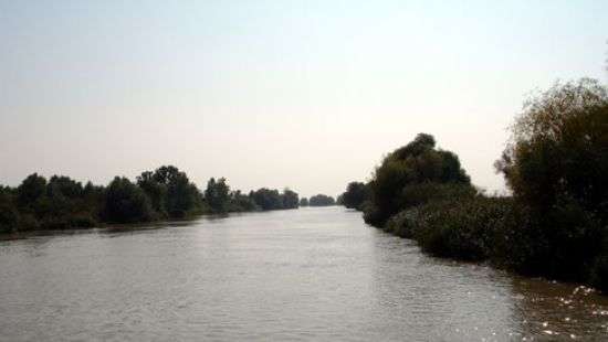 На Дунае ожидают резкого повышения уровня воды