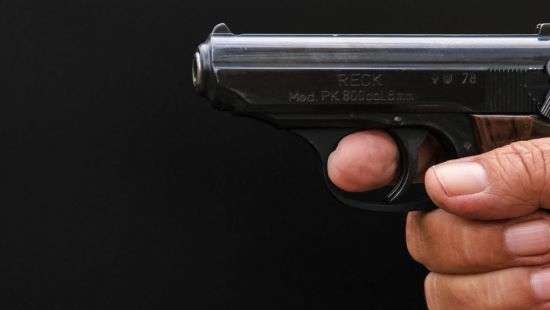 В Мариуполе выставка обезьян закончилась дракой со стрельбой