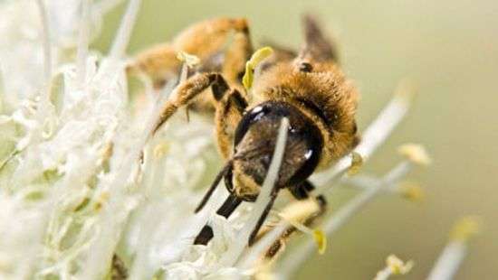 Китай разрабатывает летательный аппарат изменяемой конфигурации