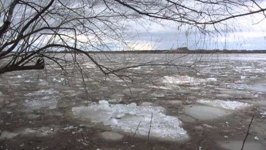 Паводок на Дунае затапливает Одесскую область, уже под водой 4 населенных пункта