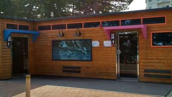 Стала известна причина вспышки норовируса на Олимпиаде-2018