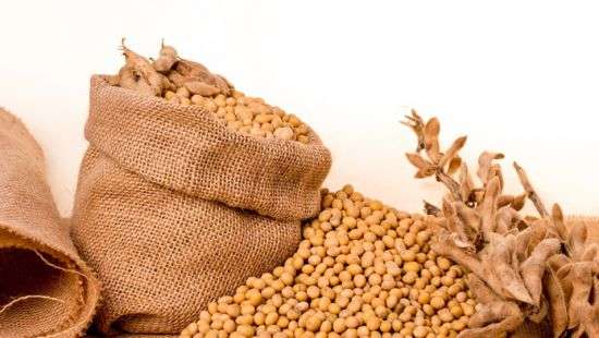 НДС при экспорте сои из Украины нужно отменить