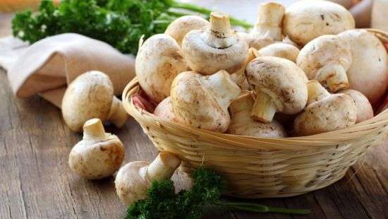 Украина накормит грибами Молдову, Румынию и Беларусь