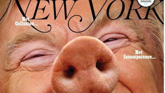 Американские СМИ поиздевались над Трампом превратив его в свинью (ФОТО)