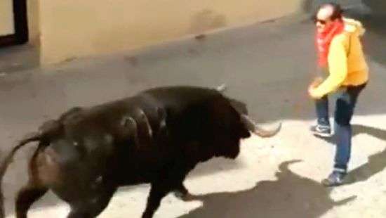 В Испании традиционный забег с быками закончился смертью человека (ВИДЕО 18+)