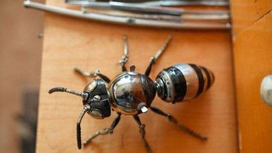 Пчелы-роботы помогут NASA в изучении Марса