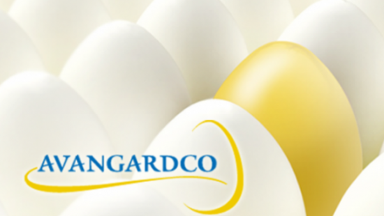 Заява Аграрного Холдингу Авангард щодо розповсюдження інформації, пов’язаної із справою САП Назара Холодницького