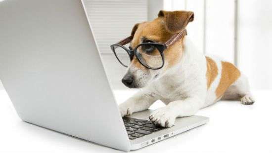 Появилась первая в мире социальная сеть, где можно «обнюхать» и «облизать»