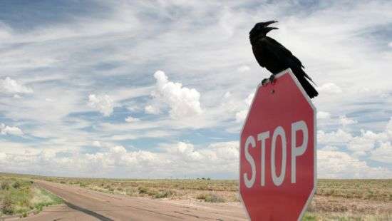 Дороги без аварий: аналитики заставят водителей не «летать»