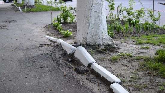 В Ивано-Франковске отказались от сезонной побелки бордюров