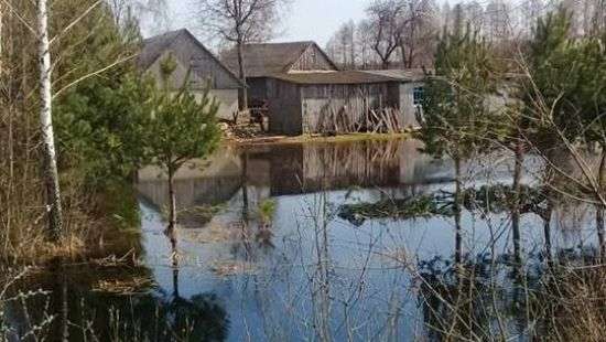На Волыни бобры прогрызли дамбу, затоплено село (ФОТО)