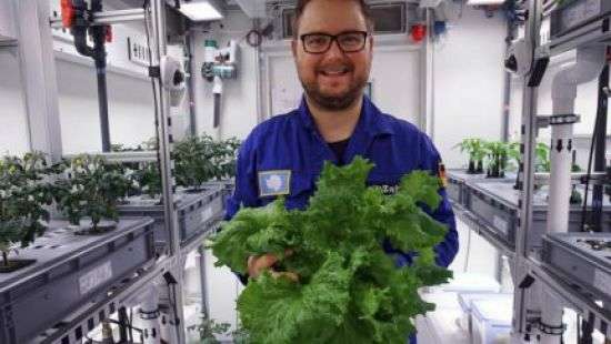 В Антарктиде впервые собрали  выращенный в теплицах урожай