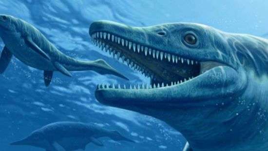 Учёные обнаружили останки одного из самых больших животных в истории Земли