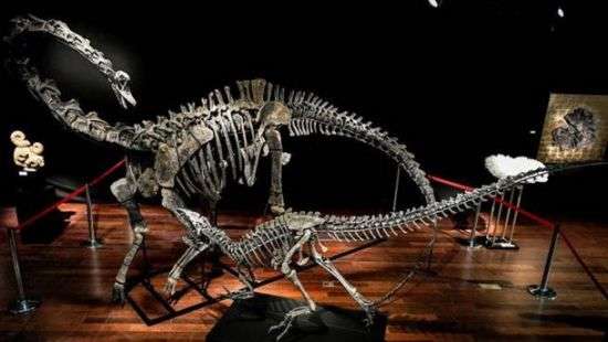 В Париже пустили с молотка два скелета динозавров почти за 3 млн евро (ВИДЕО)