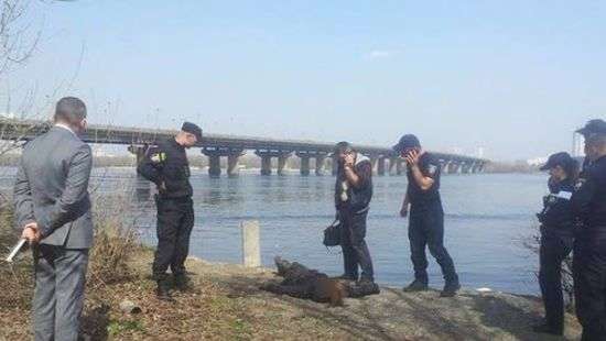 В Киеве у моста Патона нашли тело пропавшей студентки медуниверситета