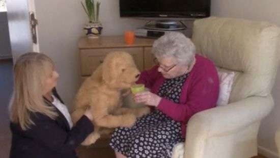 Жители Британии начали заменять собак роботами (ВИДЕО)